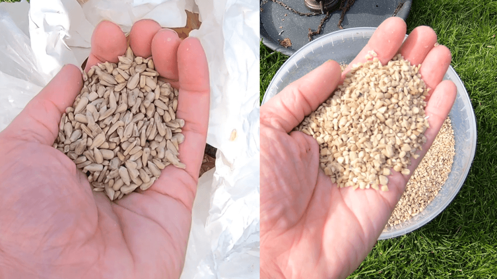Sunflower Hearts vs Sunflower Heart Chips